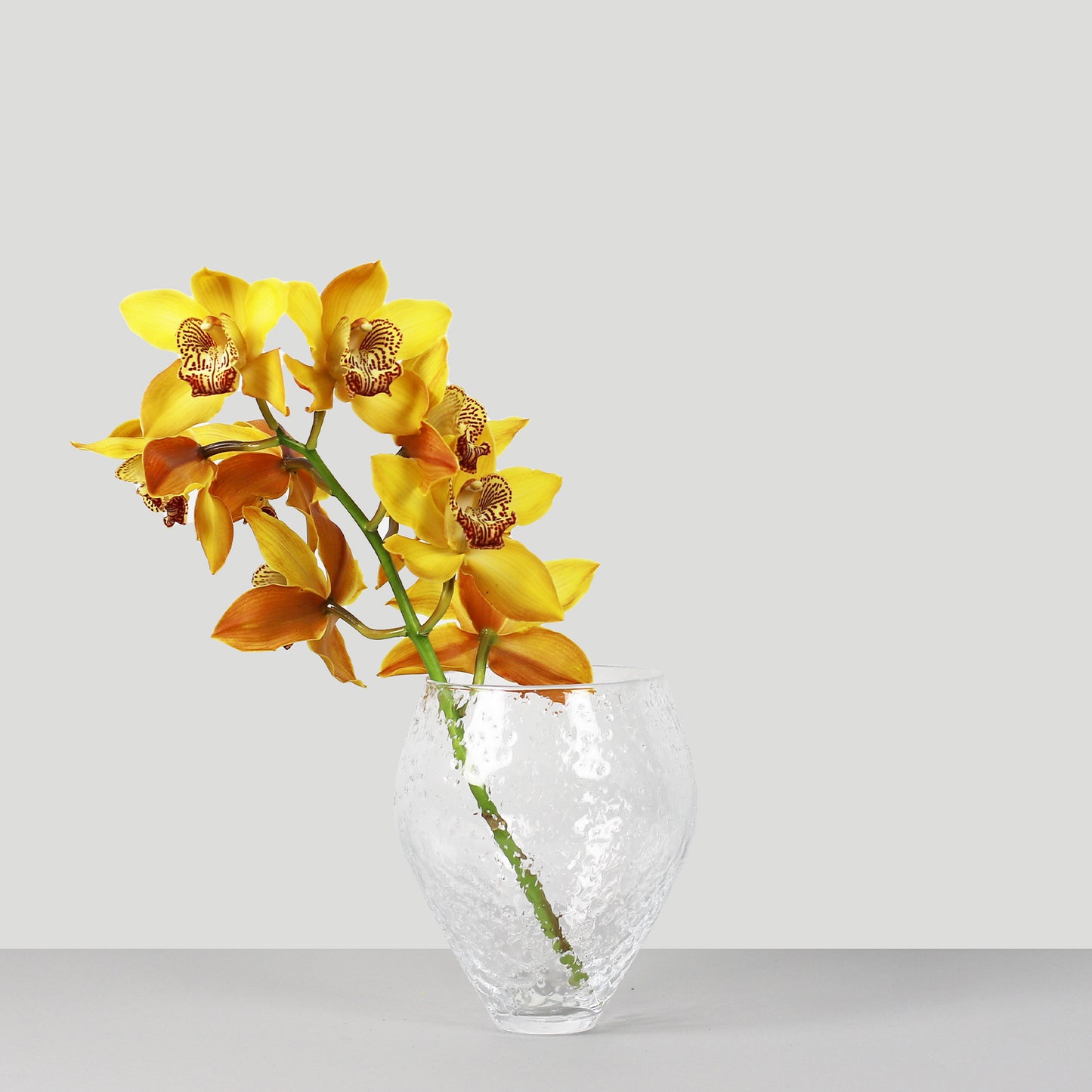 Crushed Glass Vase, Medium - Clear